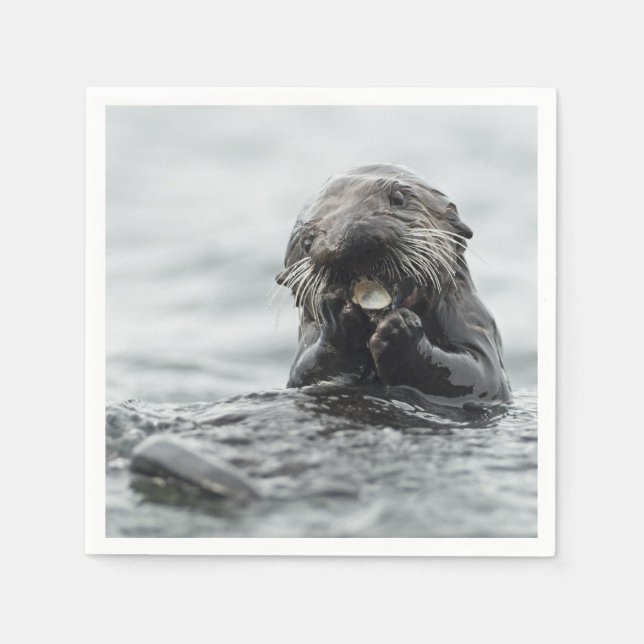 Servilleta De Papel Otter marino adorable (Anverso)