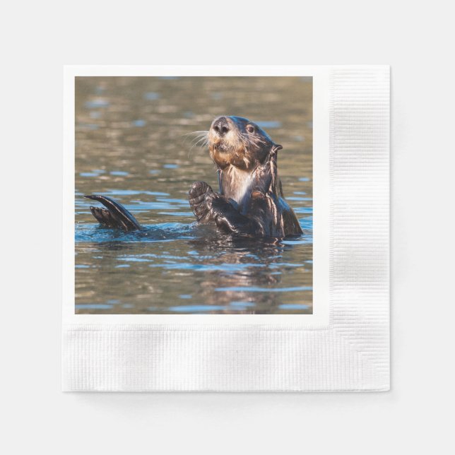 Servilleta De Papel Otter marino Sunny (Anverso)