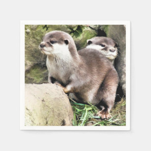 SERVILLETA DE PAPEL OTTERS