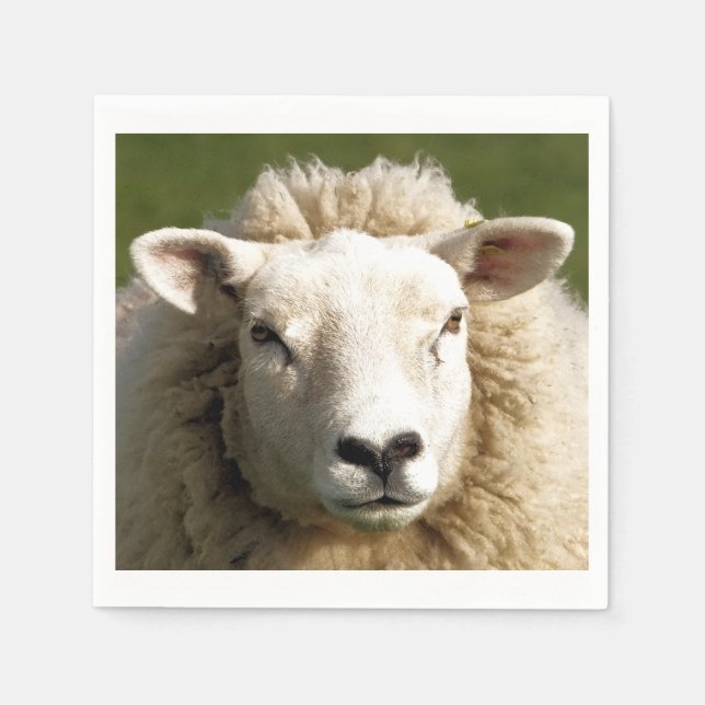 SERVILLETA DE PAPEL OVEJAS (Anverso)