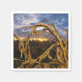 Servilleta De Papel Ozarks Harvest