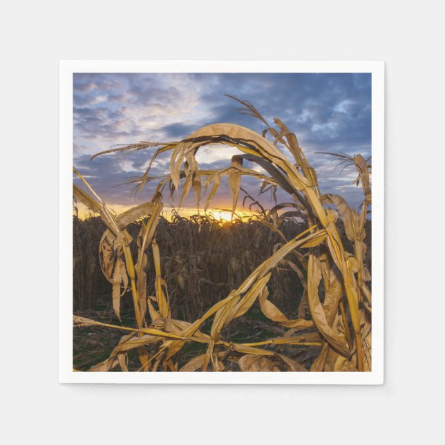 Servilleta De Papel Ozarks Harvest (Anverso)