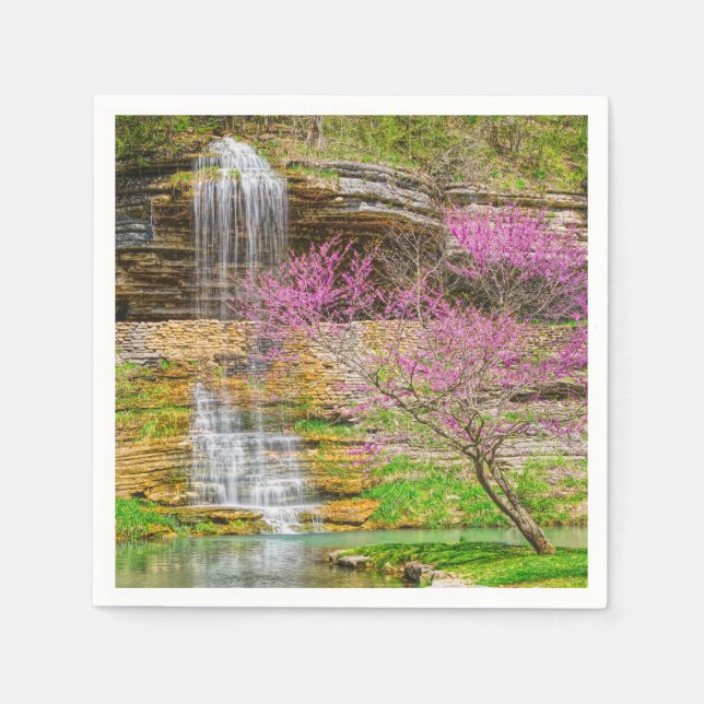 Servilleta De Papel Ozarks Waterfall Spring Bluff (Anverso)