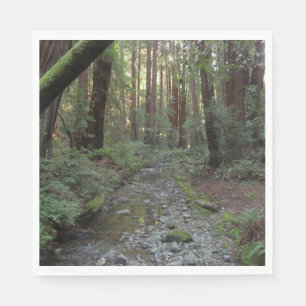 Servilleta De Papel Paisaje forestal del arroyo de Muir Woods