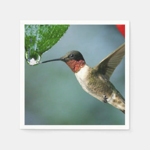 Servilleta De Papel Paisaje hermoso de la naturaleza del colibrí