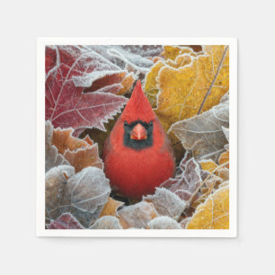 Servilleta De Papel Pájaro Cardinal Rojo en Hojas de Otoño Heladas