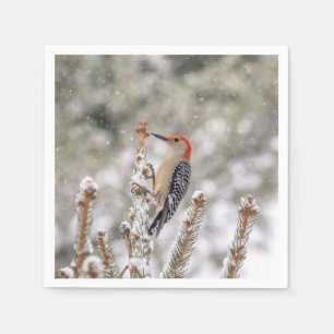Servilleta De Papel Pájaro carpintero de barriga roja en la nieve