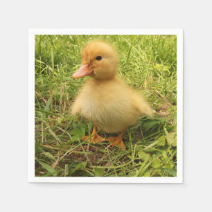 Servilleta De Papel pájaro, pato, pato, amarillo, naturaleza, lindo, b