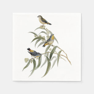 Servilleta De Papel Pájaros coloridos en una rama de árbol