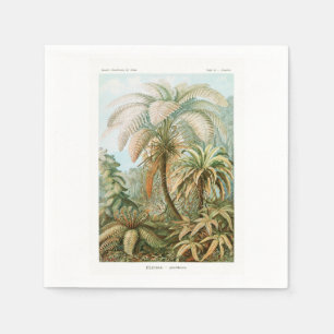 Servilleta De Papel Palm Tree Ernst Haeckel