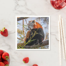 Servilleta De Papel Panda rojo