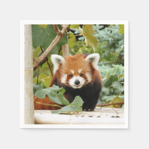 Servilleta De Papel Panda rojo
