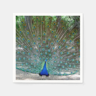 Servilleta De Papel Pantalones de Fiesta Peacock Design