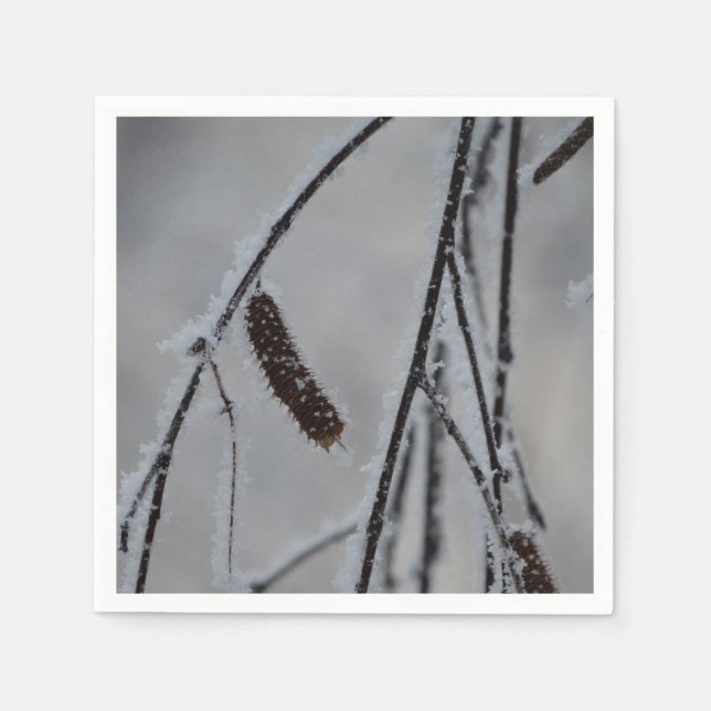 Servilleta De Papel Pantalones de papel fotográfico de invierno (Anverso)