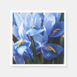 Servilleta De Papel pañuelo de iris azul Bonito
