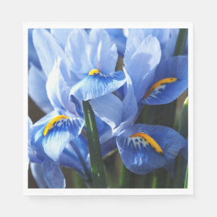 Servilleta De Papel pañuelo de iris azul Bonito