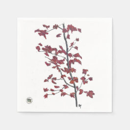 Servilleta De Papel Papel