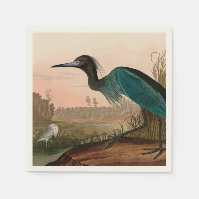 Servilleta De Papel Papel Audubon azul o garza perón en Estados Unidos (Anverso)
