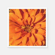 Papel de flores de la naranja Zinnia