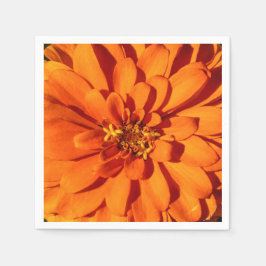Servilleta De Papel Papel de flores de la naranja Zinnia