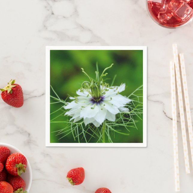 Servilleta De Papel Papel de maíz Napkins (In situ)