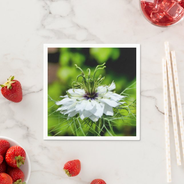 Servilleta De Papel Papel de maíz Napkins (In situ)