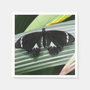 Servilleta De Papel Papel de mariposa tropical negro y blanco