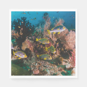 Servilleta De Papel Papeles de papel de Coral Reef