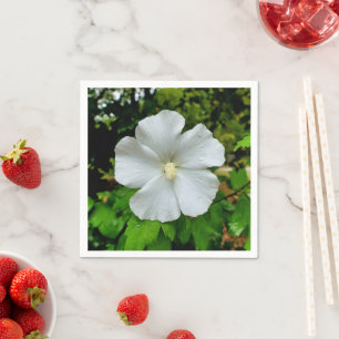 Servilleta De Papel Papeles Hibiscus