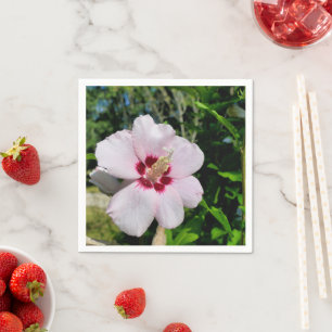 Servilleta De Papel Papeles Hibiscus