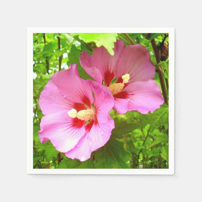 Servilleta De Papel Papeles rosados Hibiscus (Anverso)