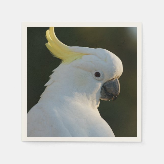 Servilleta De Papel Papierservietten cacatúas (Anverso)