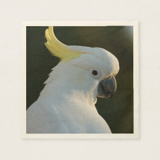 Servilleta De Papel Papierservietten cacatúas