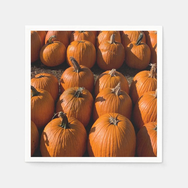 Servilleta De Papel Parche de calabaza (Anverso)