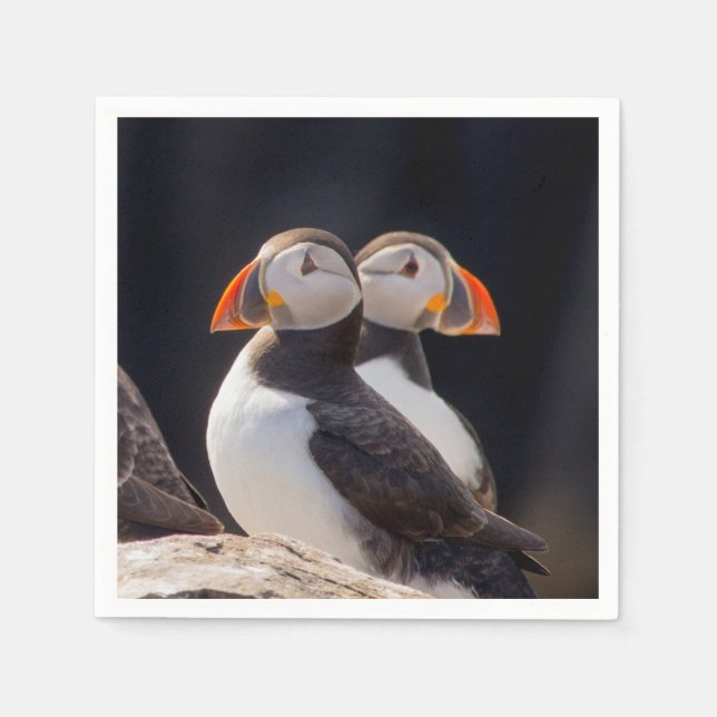Servilleta De Papel Pareja de Puffins (Anverso)