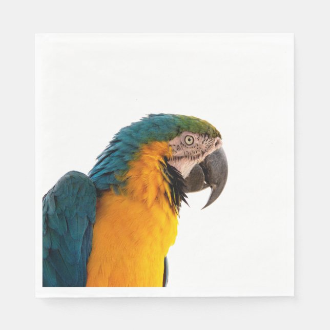 Servilleta De Papel Parrot Notes (Anverso)