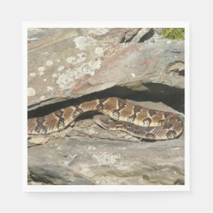 Servilleta De Papel Pastelería en el Parque Nacional de Shenandoah