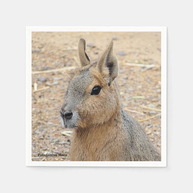 SERVILLETA DE PAPEL PATAGONIAN MARA (Anverso)