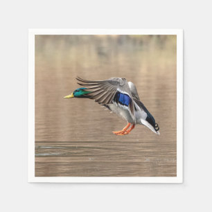 Servilleta De Papel Pato Mallard en vuelo