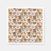 Patrón de Chihuahua