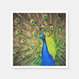 Servilleta De Papel Peacock