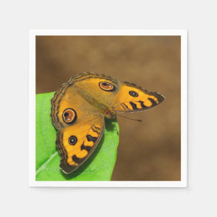 Servilleta De Papel Peacock Pansy Paper Napkin