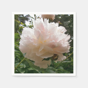 Servilleta De Papel Peony. Flor
