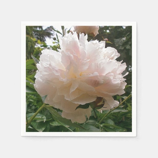Servilleta De Papel Peony. Flor. (Anverso)