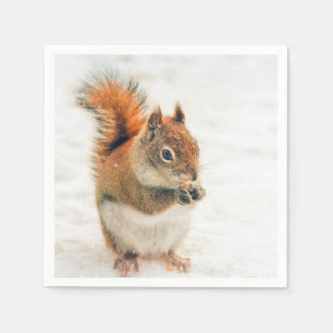 Servilleta De Papel Pequeña ardilla linda que come nueces
