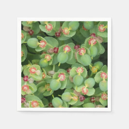 Servilleta De Papel Pequeña Flora Verde