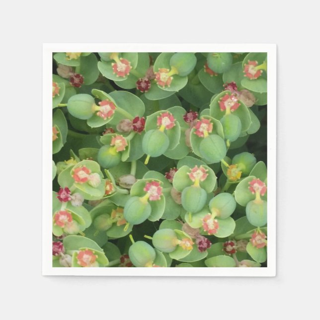 Servilleta De Papel Pequeña Flora Verde (Anverso)