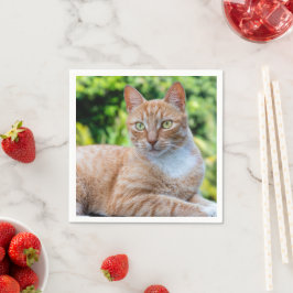 Servilleta De Papel Pequeño gatito dulce