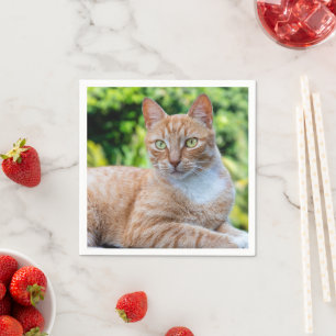 Servilleta De Papel Pequeño gatito dulce