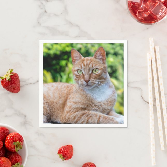 Servilleta De Papel Pequeño gatito dulce (In situ)